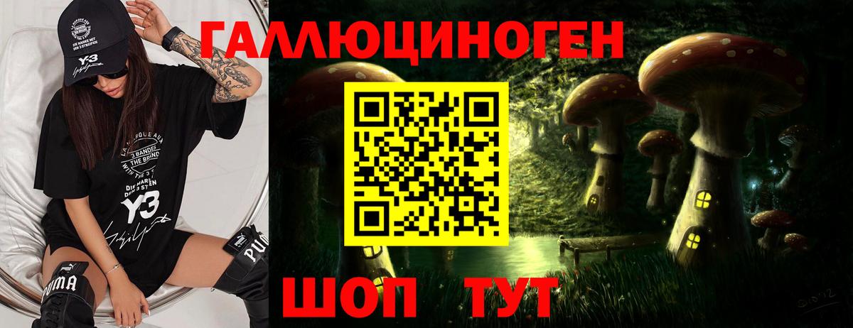 Галлюциногенные грибы Psilocybine cubensis  Вход с VPN  Сегежа 